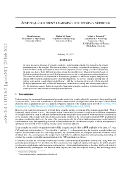 Natural-gradient learning for spiking neurons