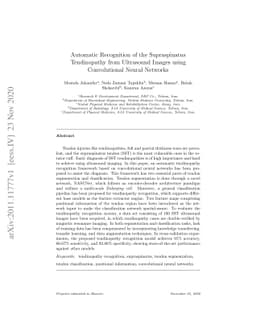 Automatic Recognition of the Supraspinatus Tendinopathy from Ultrasound
  Images using Convolutional Neural Networks