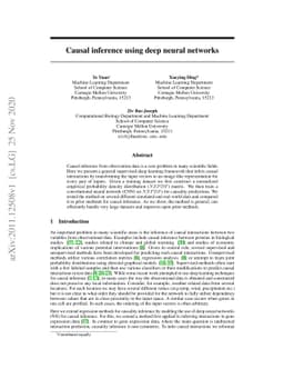 Causal inference using deep neural networks