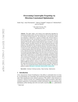 Overcoming Catastrophic Forgetting via Direction-Constrained
  Optimization