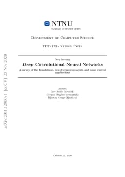Deep Convolutional Neural Networks: A survey of the foundations,
  selected improvements, and some current applications