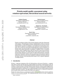 Protein model quality assessment using rotation-equivariant,
  hierarchical neural networks