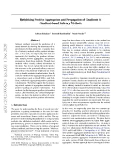 Rethinking Positive Aggregation and Propagation of Gradients in
  Gradient-based Saliency Methods