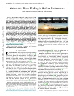 Vision-based Drone Flocking in Outdoor Environments