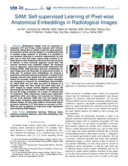 SAM: Self-supervised Learning of Pixel-wise Anatomical Embeddings in
  Radiological Images