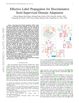 Effective Label Propagation for Discriminative Semi-Supervised Domain
  Adaptation