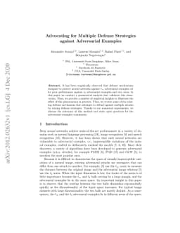 Advocating for Multiple Defense Strategies against Adversarial Examples