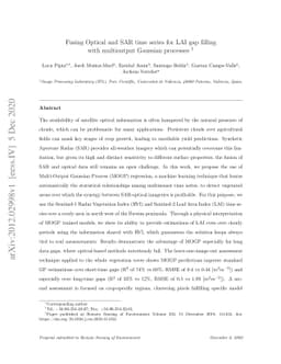 Fusing Optical and SAR time series for LAI gap filling with multioutput
  Gaussian processes