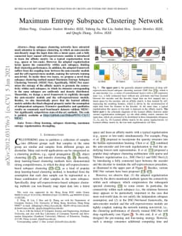 Maximum Entropy Subspace Clustering Network