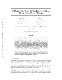 Self-Supervision Closes the Gap Between Weak and Strong Supervision in
  Histology