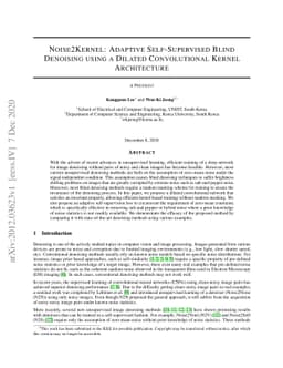Noise2Kernel: Adaptive Self-Supervised Blind Denoising using a Dilated
  Convolutional Kernel Architecture