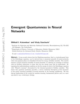 Emergent Quantumness in Neural Networks