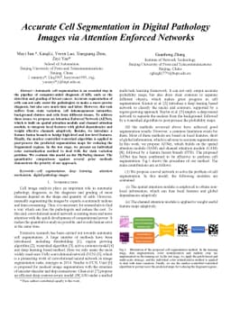 Accurate Cell Segmentation in Digital Pathology Images via Attention
  Enforced Networks