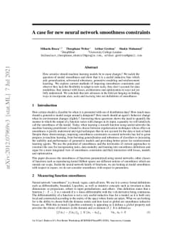 A case for new neural network smoothness constraints
