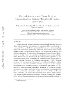 Enriched Annotations for Tumor Attribute Classification from Pathology
  Reports with Limited Labeled Data
