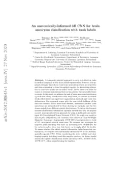 An anatomically-informed 3D CNN for brain aneurysm classification with
  weak labels