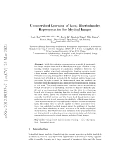 Unsupervised Learning of Local Discriminative Representation for Medical
  Images