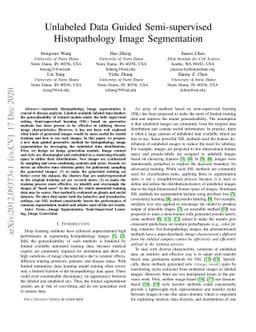 Unlabeled Data Guided Semi-supervised Histopathology Image Segmentation
