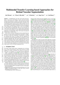 Multimodal Transfer Learning-based Approaches for Retinal Vascular
  Segmentation