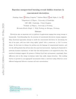 Bayesian unsupervised learning reveals hidden structure in concentrated
  electrolytes