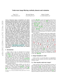 Underwater image filtering: methods, datasets and evaluation
