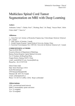 Multiclass Spinal Cord Tumor Segmentation on MRI with Deep Learning