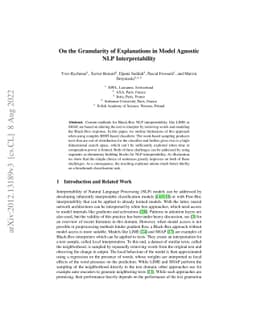 On the Granularity of Explanations in Model Agnostic NLP
  Interpretability