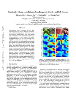 SelectScale: Mining More Patterns from Images via Selective and Soft
  Dropout
