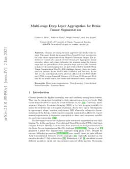 Multi-stage Deep Layer Aggregation for Brain Tumor Segmentation