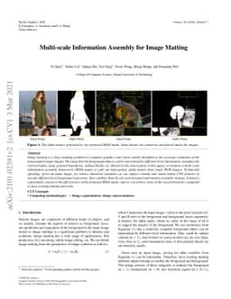Multi-scale Information Assembly for Image Matting