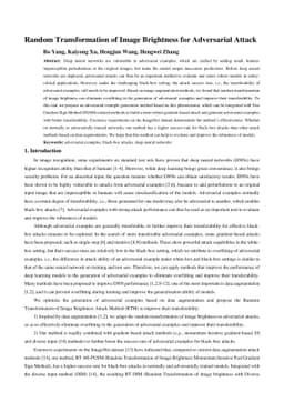 Random Transformation of Image Brightness for Adversarial Attack