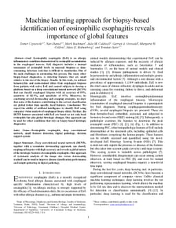 Machine learning approach for biopsy-based identification of
  eosinophilic esophagitis reveals importance of global features