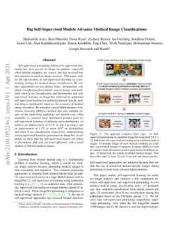 Big Self-Supervised Models Advance Medical Image Classification