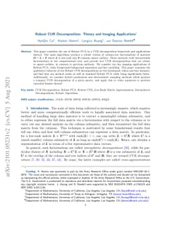 Robust CUR Decomposition: Theory and Imaging Applications