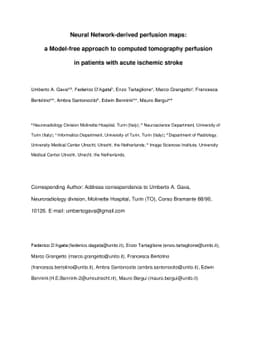 Neural Network-derived perfusion maps: a Model-free approach to computed
  tomography perfusion in patients with acute ischemic stroke