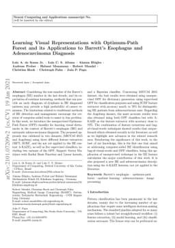 Learning Visual Representations with Optimum-Path Forest and its
  Applications to Barrett's Esophagus and Adenocarcinoma Diagnosis