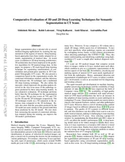 Comparative Evaluation of 3D and 2D Deep Learning Techniques for
  Semantic Segmentation in CT Scans