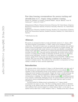 Fast deep learning correspondence for neuron tracking and identification
  in C.elegans using synthetic training