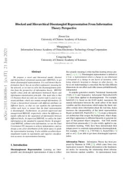 Blocked and Hierarchical Disentangled Representation From Information
  Theory Perspective
