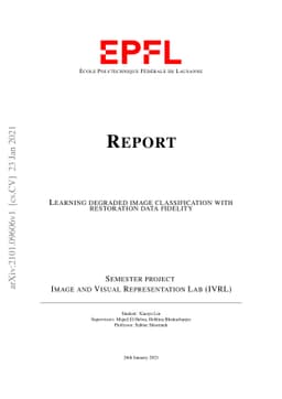 Learning degraded image classification with restoration data fidelity