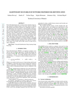 Lightweight Multi-Branch Network for Person Re-Identification