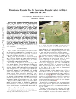 Diminishing Domain Bias by Leveraging Domain Labels in Object Detection
  on UAVs