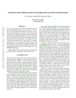 Consistent Recurrent Neural Networks for 3D Neuron Segmentation