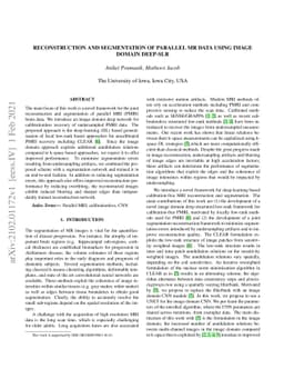Reconstruction and Segmentation of Parallel MR Data using Image Domain
  DEEP-SLR