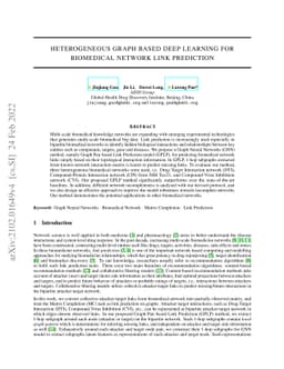Heterogeneous Graph based Deep Learning for Biomedical Network Link
  Prediction