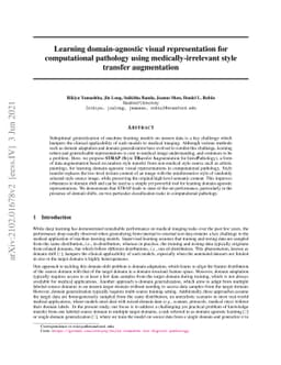 Learning domain-agnostic visual representation for computational
  pathology using medically-irrelevant style transfer augmentation
