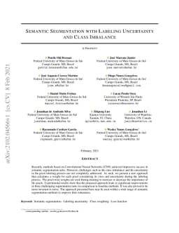 Semantic Segmentation with Labeling Uncertainty and Class Imbalance