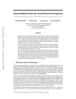 Input Similarity from the Neural Network Perspective