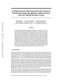 A Similarity-preserving Neural Network Trained on Transformed Images
  Recapitulates Salient Features of the Fly Motion Detection Circuit