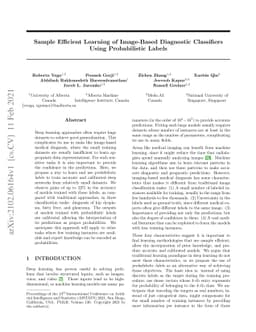 Sample Efficient Learning of Image-Based Diagnostic Classifiers Using
  Probabilistic Labels